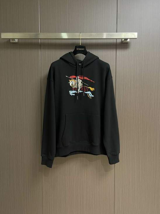 Picture of Burberry Hoodies _SKUBurberryS-2XLtltx011862